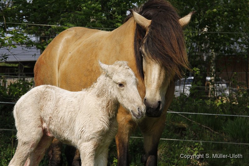 Hjoerdis 1 Stunde und 12 Min alt.JPG